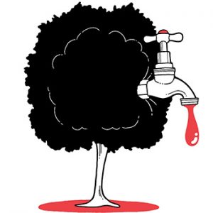 illustration of faucet attached to tree