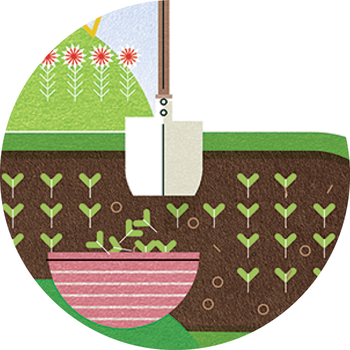 illustration of plants sprouting and being collected in a bowl