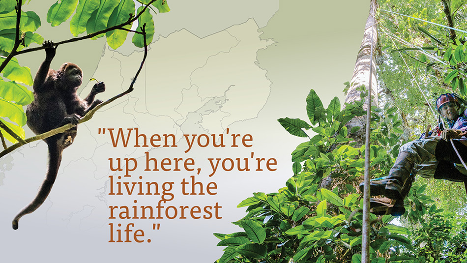 When you're up here, you're living the rainforest life.