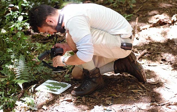 Wes Testo ’12 photographing ferns in Costa Rica