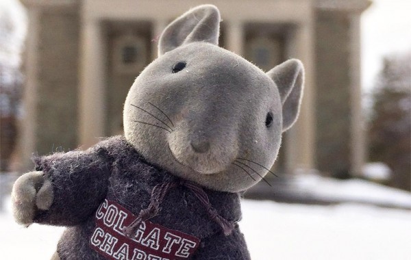 Toy rat in a Colgate sweatshirt pictured in front of Memorial Chapel