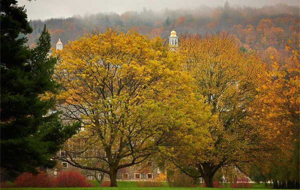 Colgate in the fall
