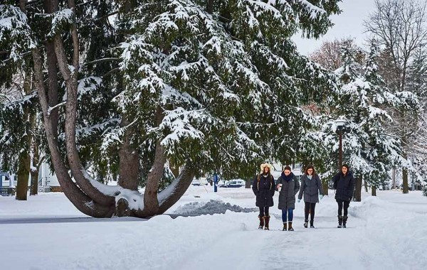 Students walk past snow-covered Norway spruce tree