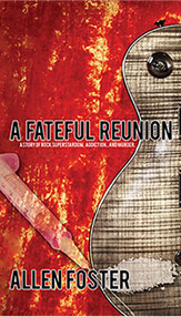 A Fateful Reunion book cover