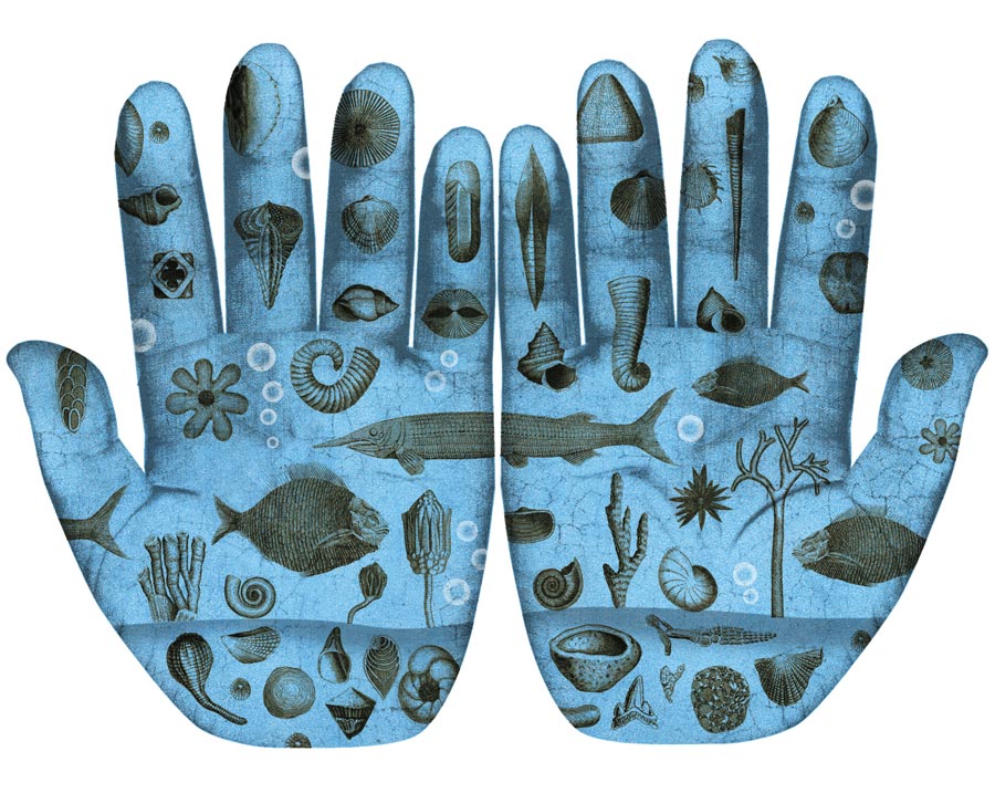 Illustration of ocean-dwelling creatures on hand palms