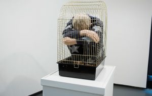 Man in a bird cage 