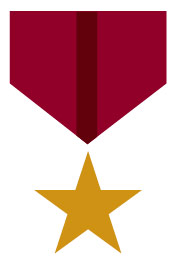 Illustrated star medal