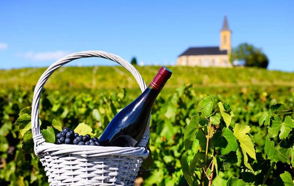 Grapes and wine in a basket with the vineyard and a church in the background