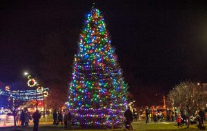 Christmas tree lit up on the Hamilton Village Green