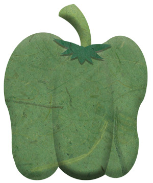 Illustrated green pepper