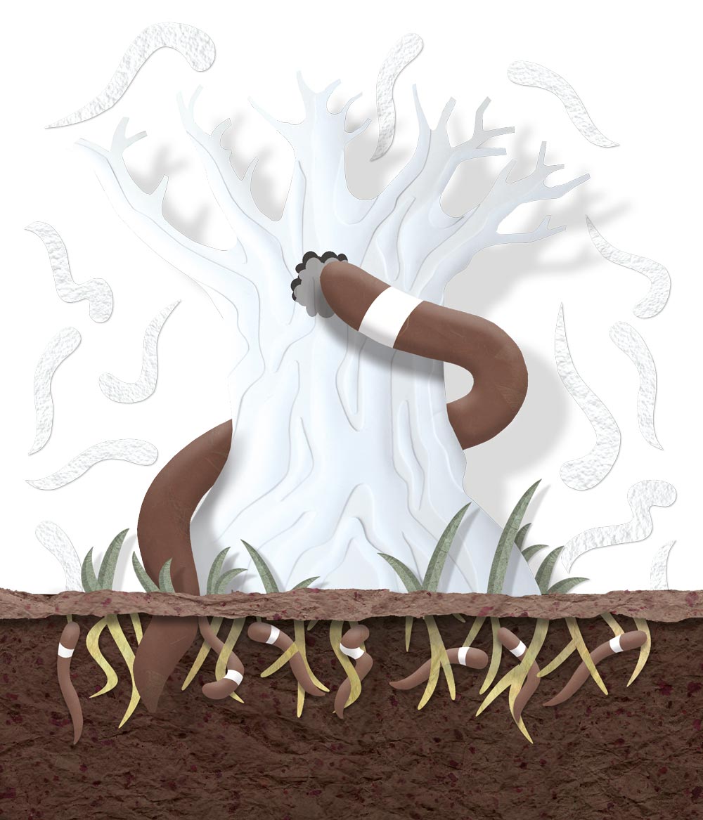 Illustration of a worm crawling into a white tree