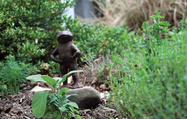 A frog statue in Amy Nelson's garden, under which her chicken, Speckles, was laid to rest