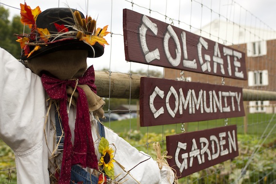 The Colgate Community Garden 