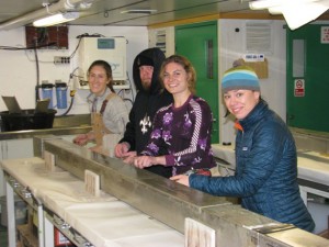 A truly interdisciplinary approach: Kara Vadman '14 (far left), Mikhaila Redovian '15 (second from right), geologic oceanography professor Amelia Shevenell from the University of South Florida, and cook Mike Bowen tackle a Kasten core together.