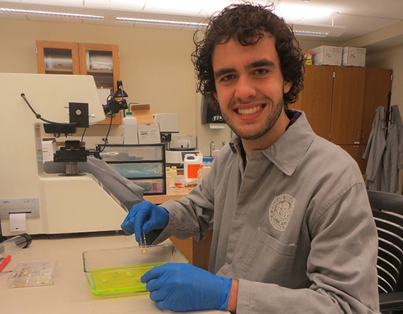 This summer, Brett Christensen '16 has been raising barnacles at various life stages for a biomineralization experiment.  