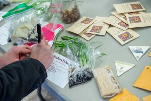Participant fills out seed form on table filled with seed packets and plants.