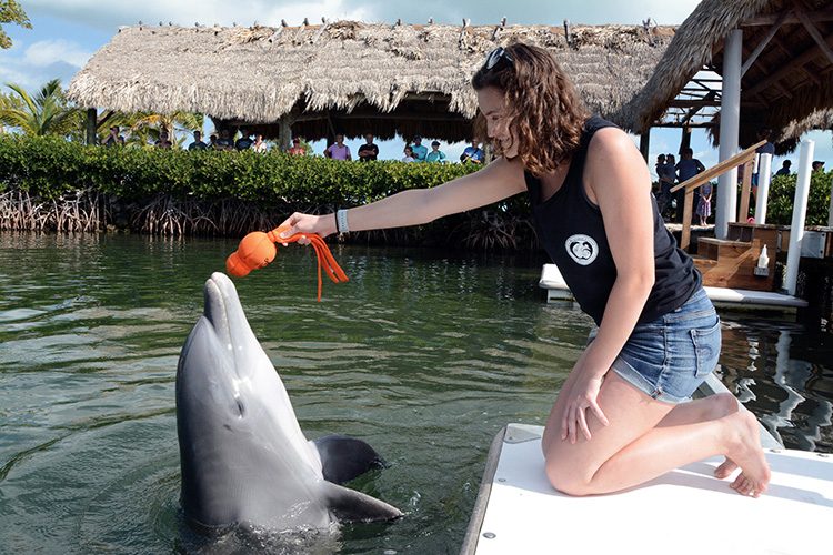 Gillian Schutt '20 with dolphin