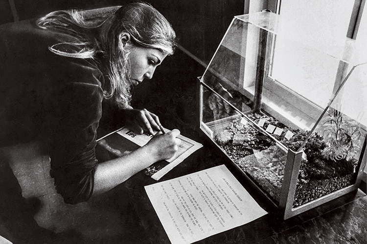 a woman doing environmental studies in front of a terrarium