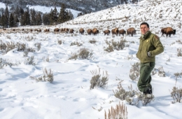 Chris Geremia '99 stands in the snow as bison as dozens of bison roam behind him