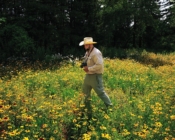 Student researcher walks in wildflower field with camera