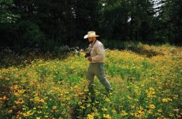 Student researcher walks in wildflower field with camera