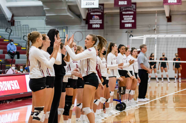 The volleyball team stands on the sideline and Julia Kurowski high fives them.