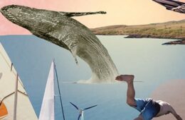 Collage of ocean with a whale jumping