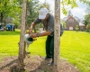 Edwin Morris pours water from watering can onto roots of the AOC Bicentennial Tree
