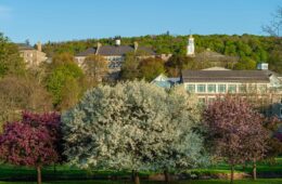 Scenic view of upper campus from below Payne Creek, flowering crabtrees in foreground