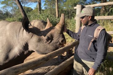 Macdonald Chirara pets an endangered black rhino over a fence post at Imire: Rhino and Wildlife Conservancy