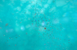 Abstract illustration of aqua background with multicolored particles swirling