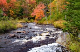 Adirondack stream in autumn