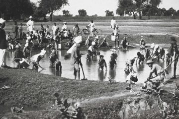 individuals at work in pond