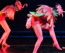 Students perform in bird costumes
