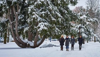 A winter walk past the great Norway spruce, a favorite climbing tree and sitting place year-round on the lower campus. Photo by Andrew Daddio