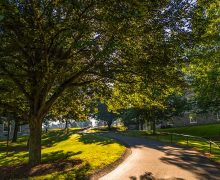 Sun filters through the trees on the approach to the Academic Quad between the Chapel and Lawrence Hall