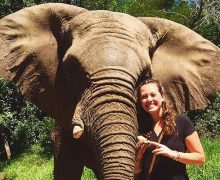 Sally Langan ’17, a sociology major, poses with an elephant in Cape Town.