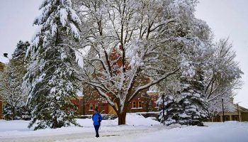 A tree's boughs outside of Hascall Hall are heavy with snow as a student walks past.