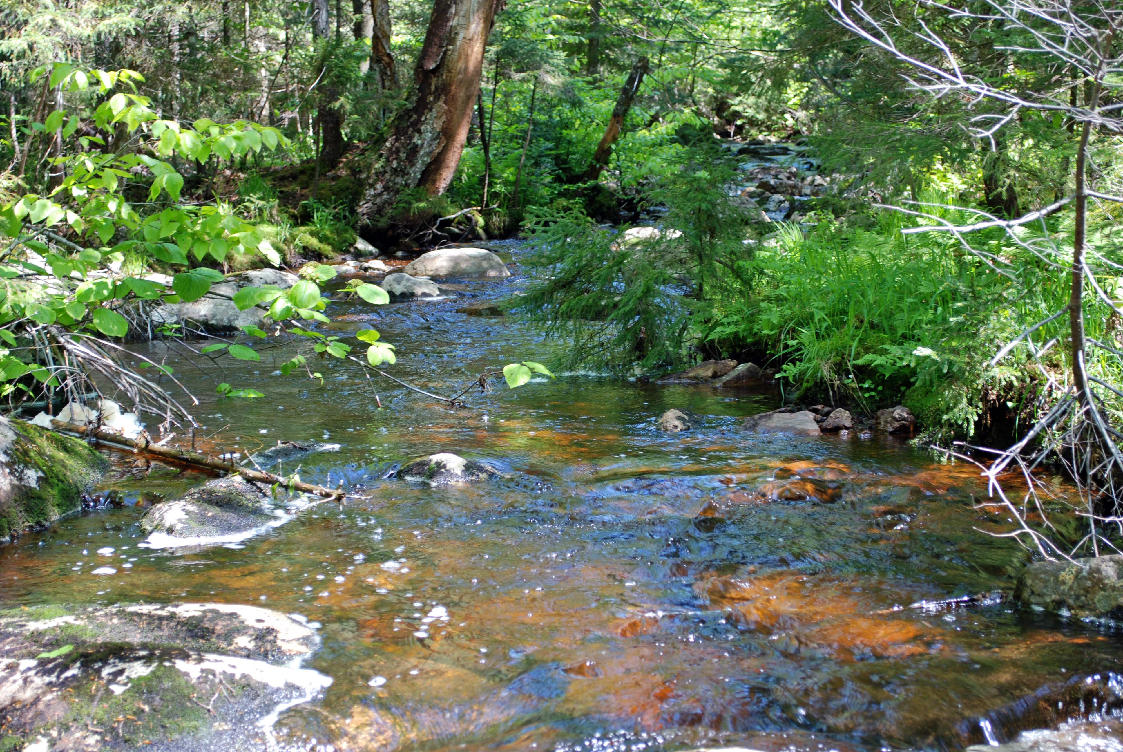 tributary stream