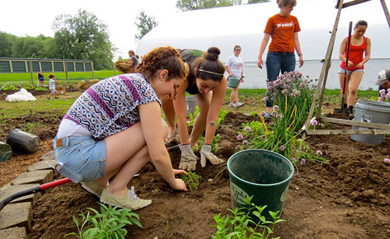 Student volunteers help out at the community garden.